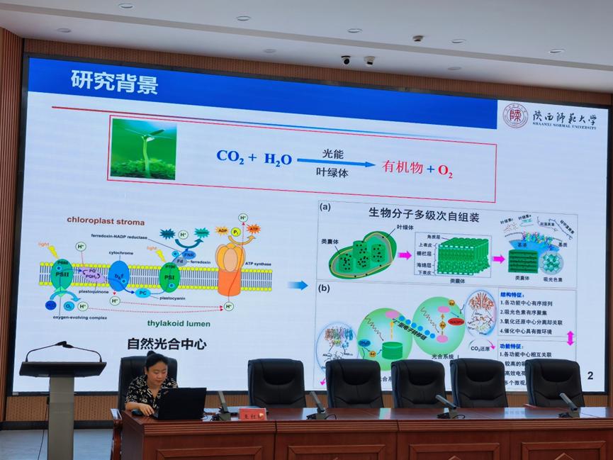 陕西师范大学王红艳教授来我校作学术报告 